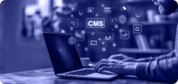 Client-Side Software